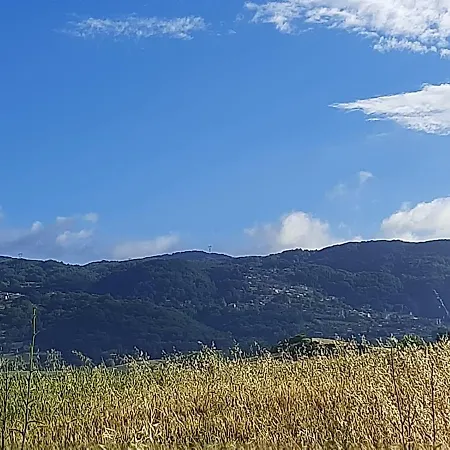 Casa Bellavista Viggianello