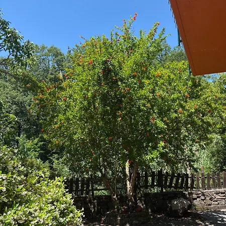 Casa Bellavista 펜션 비자넬로