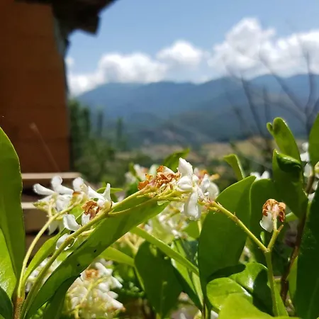 Casa Bellavista * Viggianello